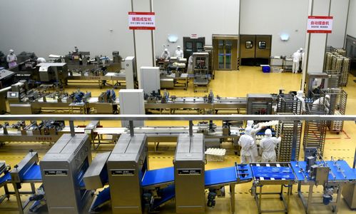 河北石家莊欒城區企業生產繁忙，力促產業新格局，與鄭州軟件開發協同發展